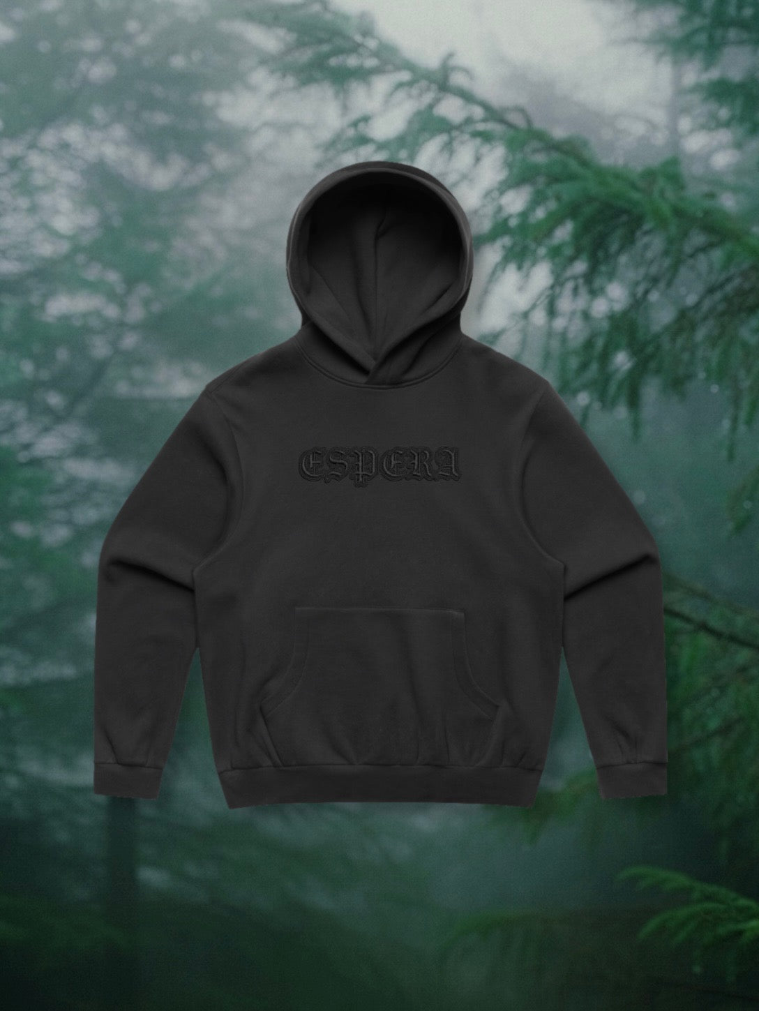 Espera logo embroidered hoodie