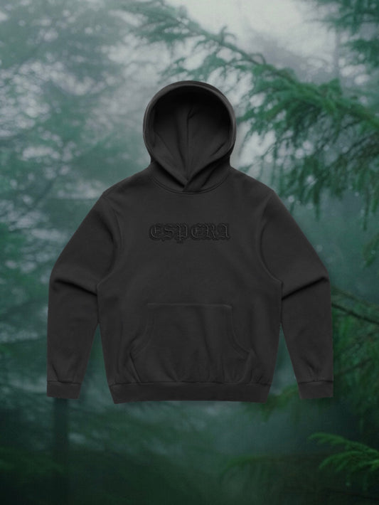 Espera logo embroidered hoodie
